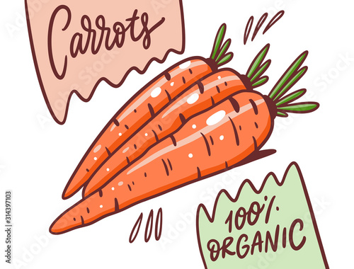 Carrots poster. 100 organic product. Vector illustration. Cartoon style.