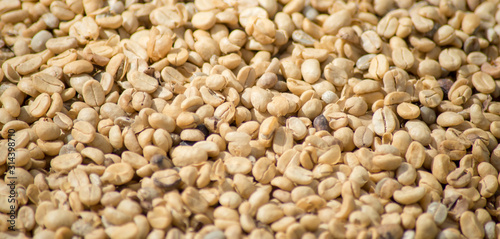 Arabicas Coffee bean dry texture background.