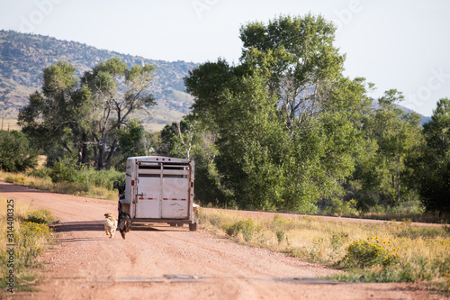 Ranch Horse trailer