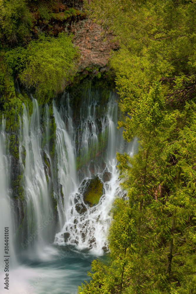 Obraz premium Burney Falls in Shasta County California