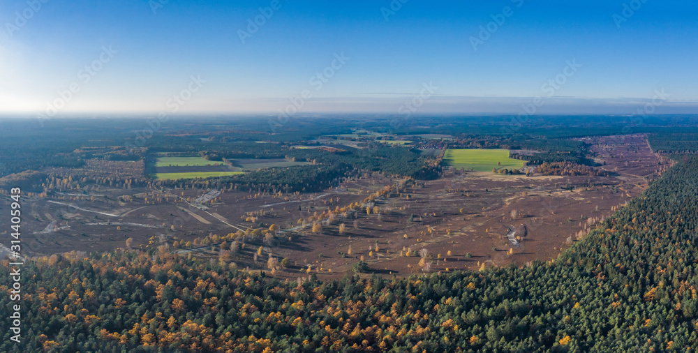 Aerial panoramic drone shot of Luneberg Heide forests pine trees in autumn