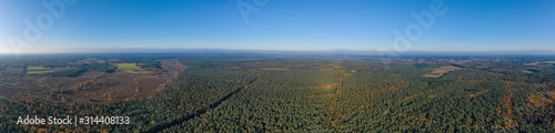 Aerial panoramic drone shot of Luneberg Heide forests pine trees in autumn