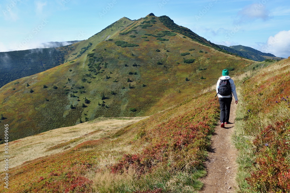 Summer Mountain hiking concept. Rear view of female hiker with backpack walks along the mountain path. Slovak mountains Mala Fatra
