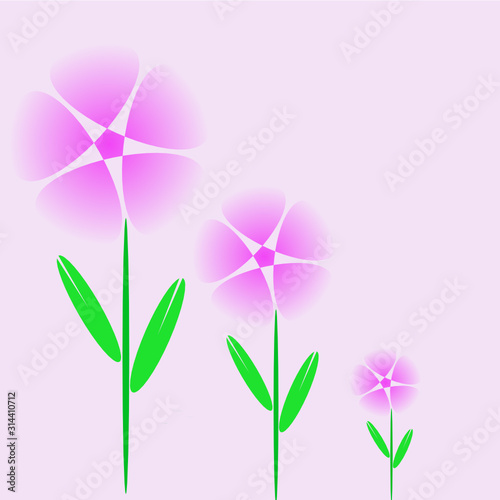 beautiful flowers on a gently purple background