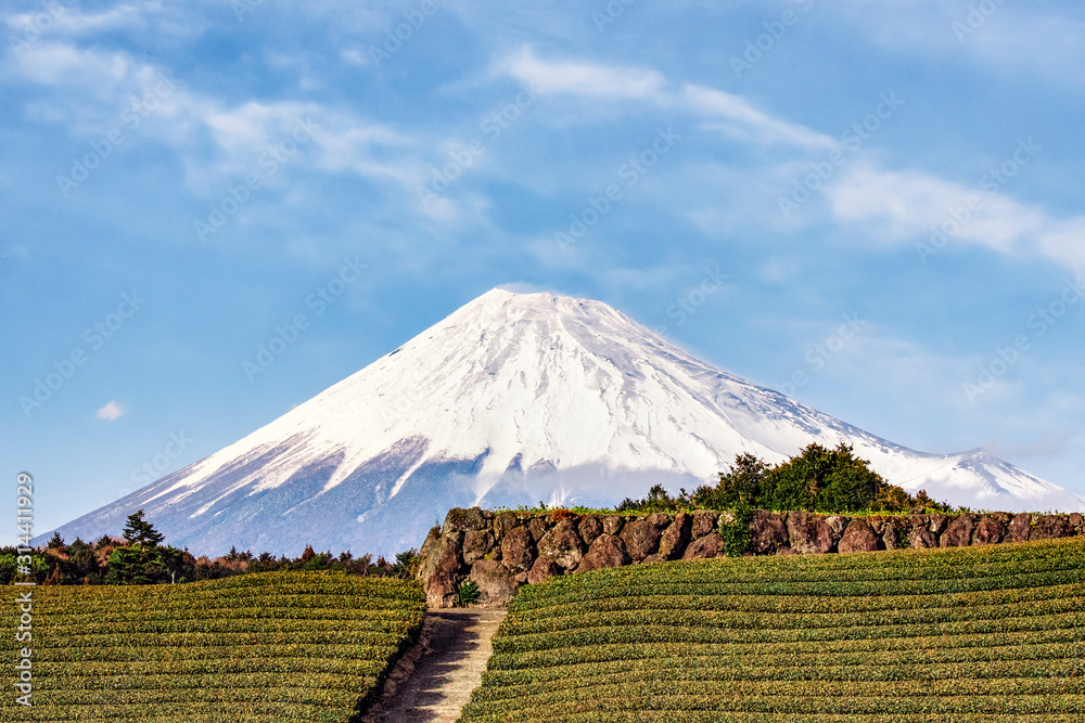 Obraz premium Fuji Mountain and Green Tea Plantation at Fuji City, Fujinomiya , Shizuoka, Japan 