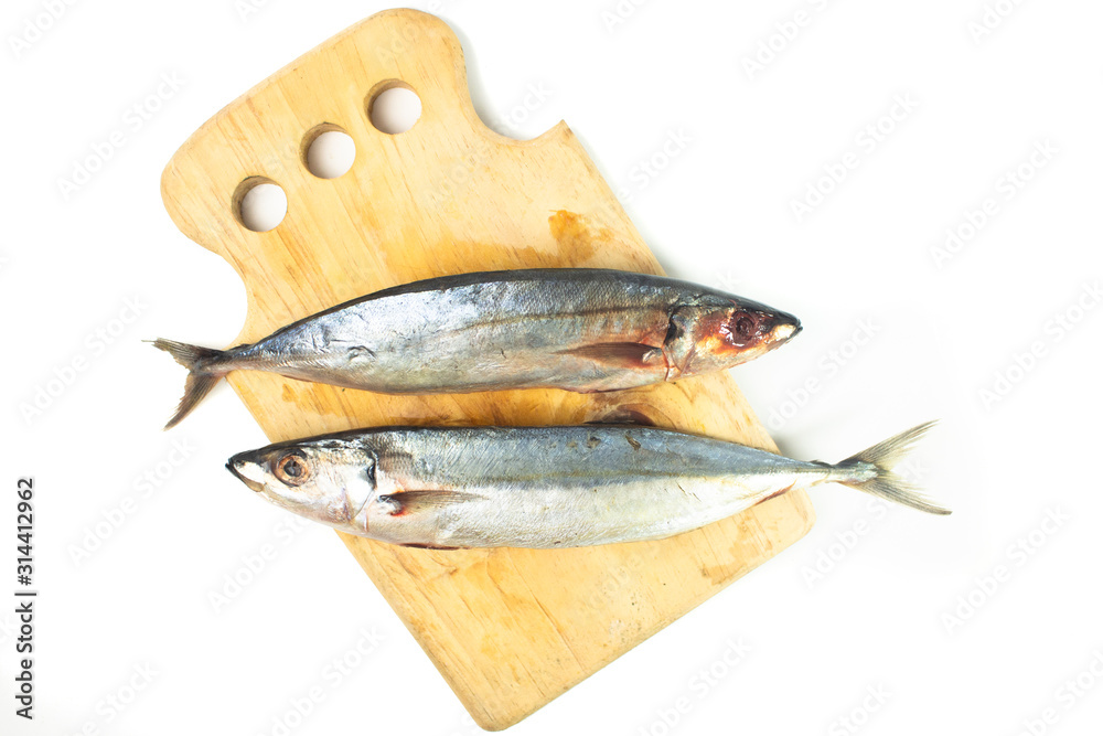 Asian Mackerel fish isolated on white background Asian Mackerel fish isolated on white background