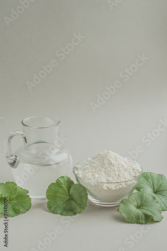 Natural skincare cosmetic products with fresh leaves. Clay masks, distilled water, serums. Beauty, blogger, fashion concept.