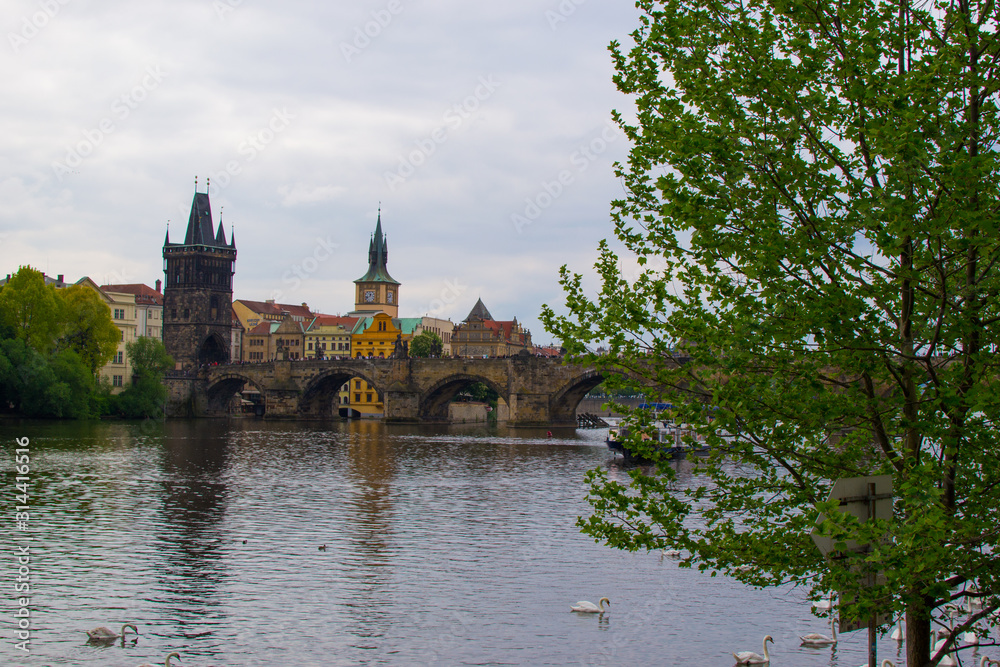 Vltava river flowing through Prague with Charles Bridge (Karlův most) and Old Town Bridge Tower (Staroměstská mostecká věž) at the background, and a tree at the foreground (Czech Republic)