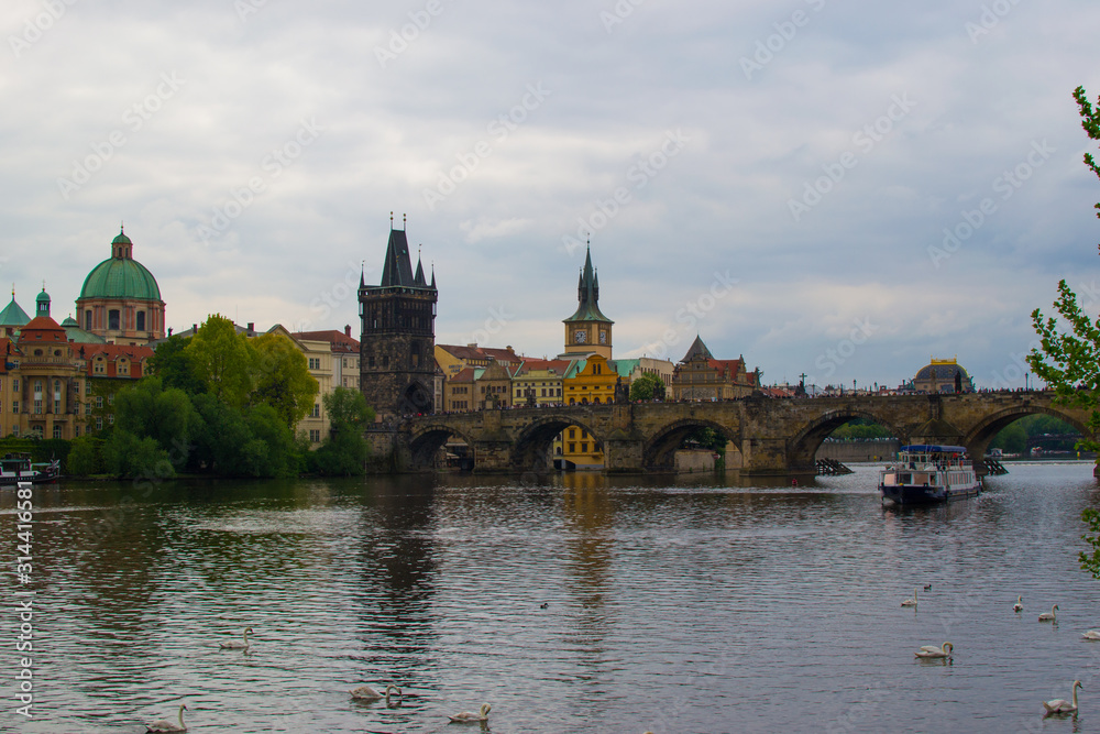 Vltava river full of geese flowing through Prague with Charles Bridge (Karlův most) and Old Town Bridge Tower (Staroměstská mostecká věž) at the background (Czech Republic)