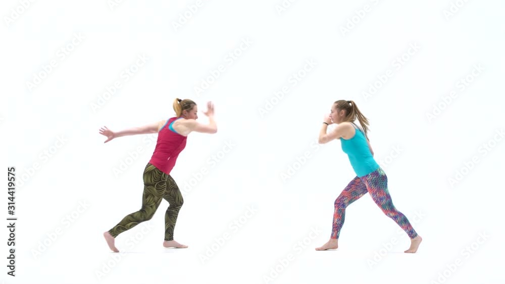 Two woman are practicing capoeira in white background of studio. Afro-Brazilian martial art that combine elements of dance. Two woman are practicing capoeira in white background of studio. Afro-Brazilian martial art that combine elements of dance.