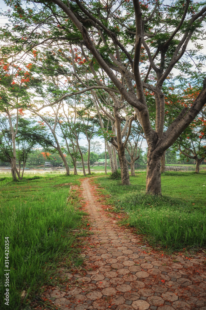 the scenery of walkway in the park of Chiang Rai, Thailand.