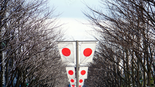 祝日に掲揚された日本国旗　日の丸 photo