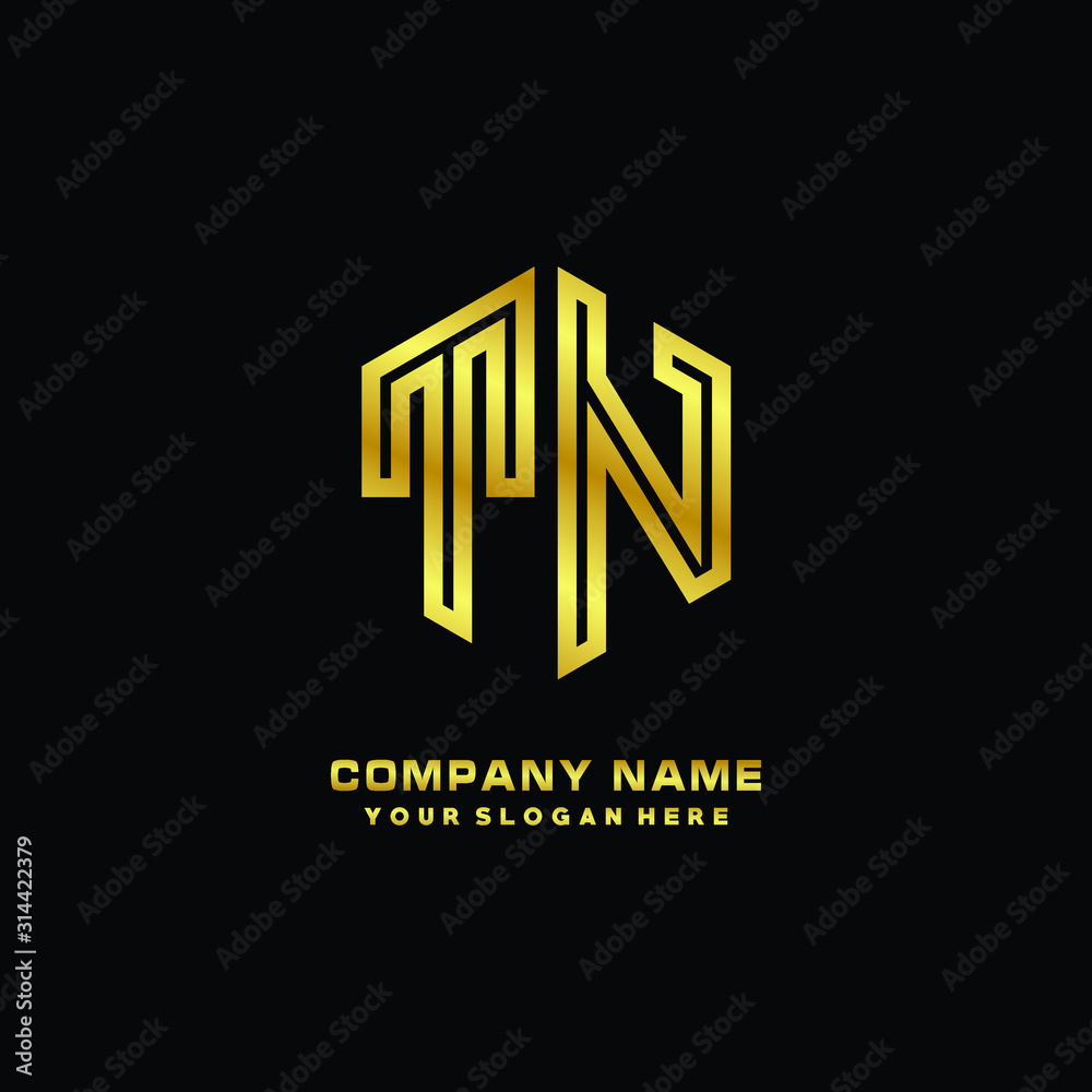 Initial letter TN, minimalist line art monogram hexagon logo, gold color