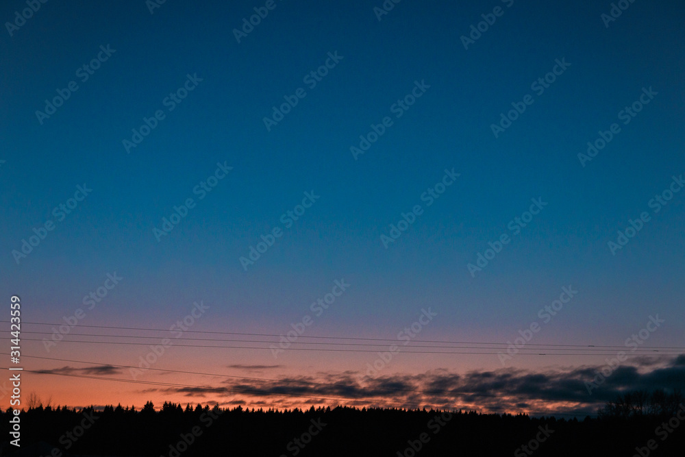 twilight blue sky view with treetops of firtree, orange sunset