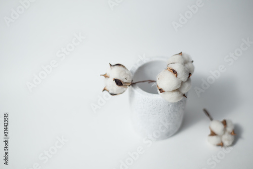 Trendy minimalistic composition of cotton in a gray concrete vase on a white background with natural light.