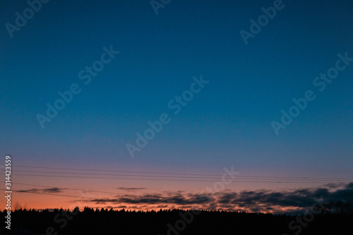 twilight blue sky view with treetops of firtree, orange sunset