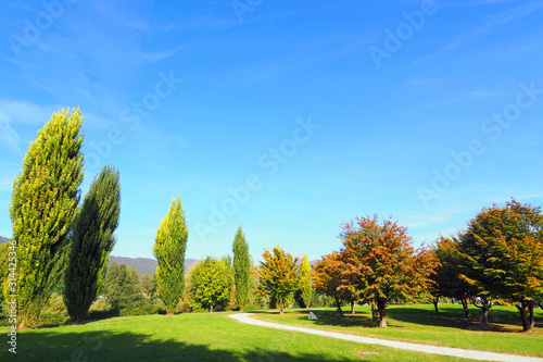 Public park with poplar trees near Bergamo, Italy