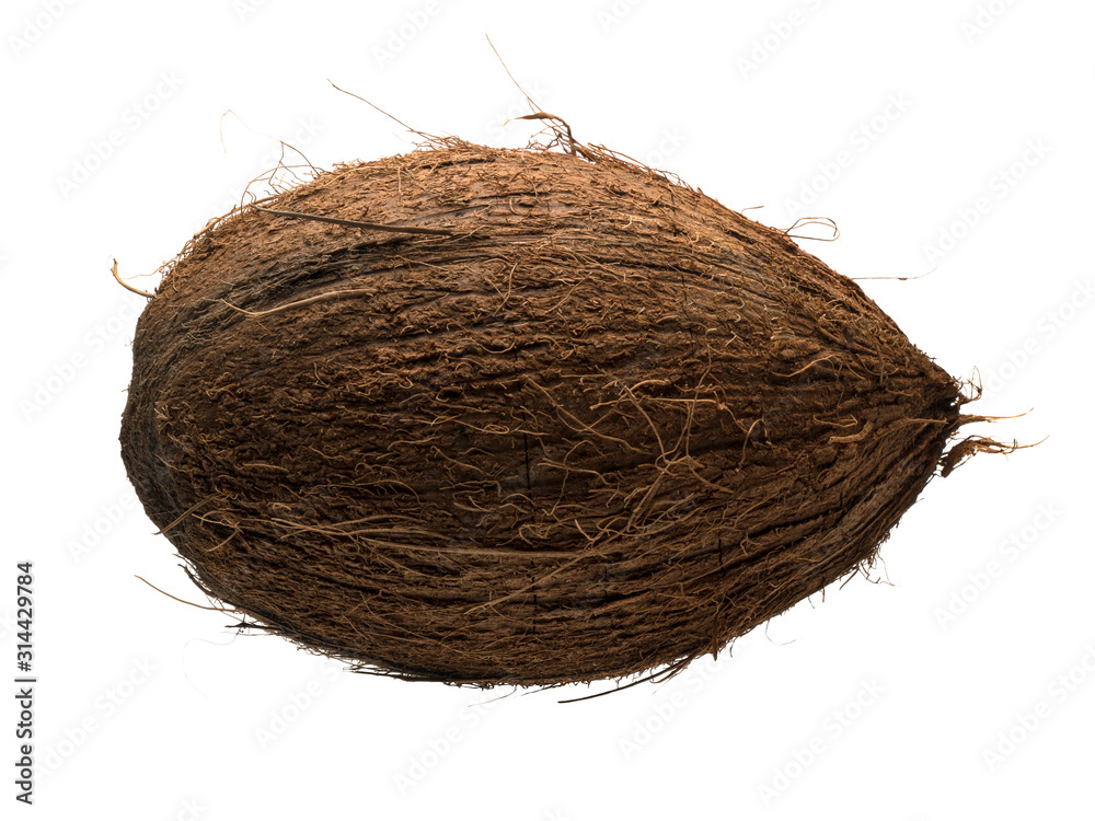 Graphic resources of an isolated coconut object on a white background Graphic resources of an isolated coconut object on a white background
