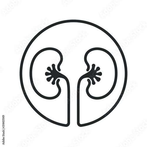 Kidneys human organ graphic icon. Kidneys sign in the circle isolated on white background. Vector illustration