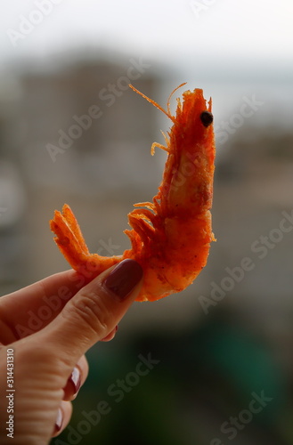 Cooked breaded fried shrimp / prawn in female hand close up photo