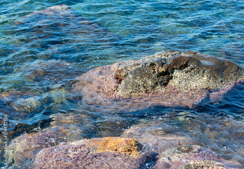 Vulkangestein und klares Meerwasser an der Küste Insel Nisyros Griechenland