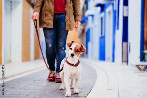 young woman and her cute jack russell dog walking by a colorful street at the city. travel concept photo