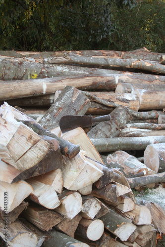 Stack of tree trunk. Firewood ready for winter season
