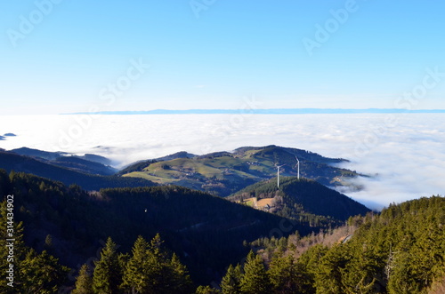 Blick vom Schauinsland ins neblige Tal