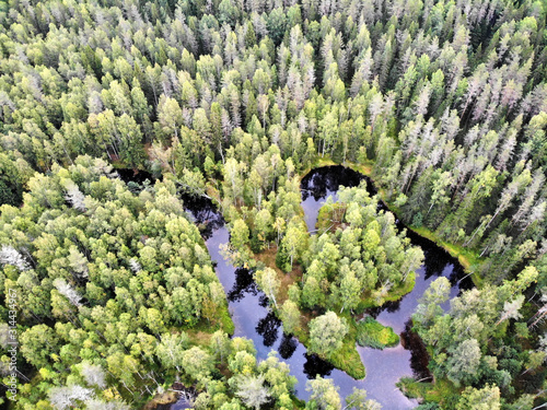 Aerial view of a river somewhere in the Karelian forest. View from a drone, Karelia, Russia photo