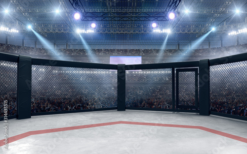 3D render MMA arena. MMA octagon cages.