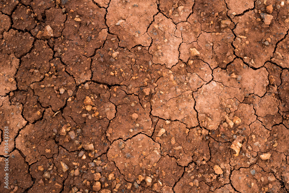 Texture of dried cracked clay. Macro background image of dried clay Texture of dried cracked clay. Macro background image of dried clay