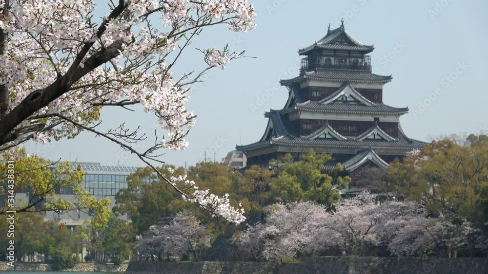 Hiroshima castle keep with cherry blossoms in spring. 4K Hiroshima castle keep with cherry blossoms in spring. 4K