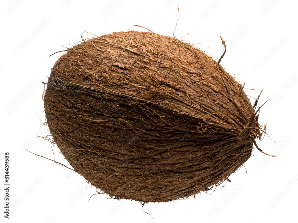 Graphic resources of an isolated coconut object on a white background Graphic resources of an isolated coconut object on a white background