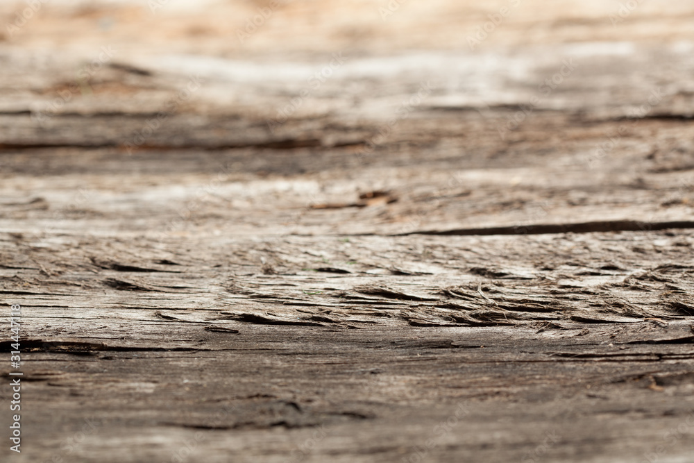 Fototapeta premium Old dirty wooden texture. Grunge background