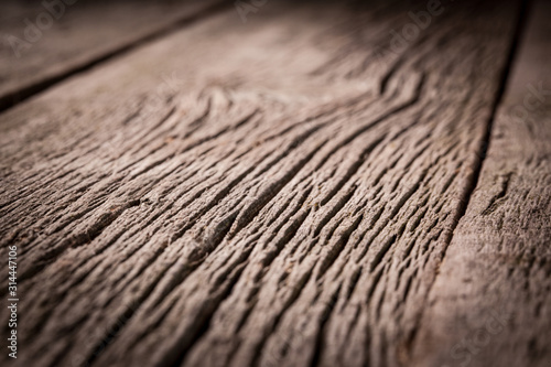 Old wood texture. Abstract background
