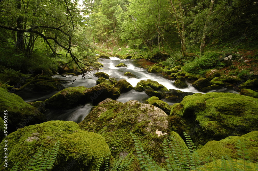 Mountain river in Slovenia, dreamy scenery, moss-covered stones