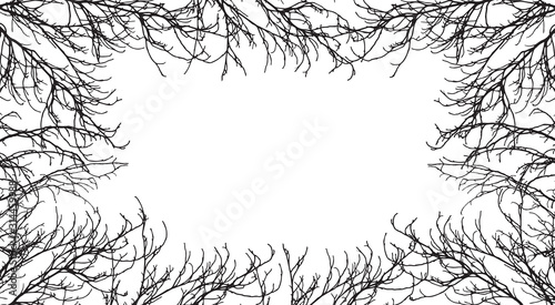 Autumn branches of trees silhouette, frame. Applied clipping mask. Vector illustration. Background for text.