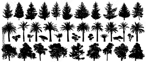 Trees set isolated. Forest background, nature, landscape. Pine, spruce, Christmas tree, palm tree, bushes. Silhouette vector illustration