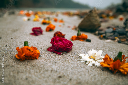 Beautiful flowers at the beach left from celebration in India