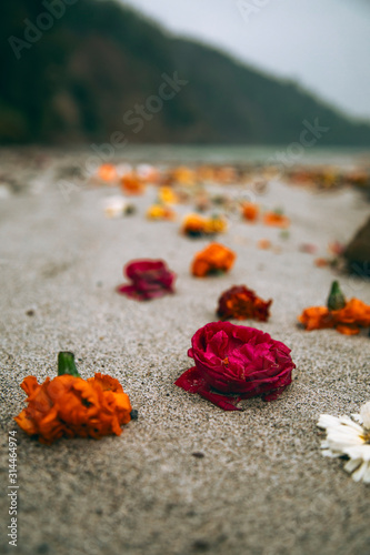 Beautiful flowers offerings on the Indian beach