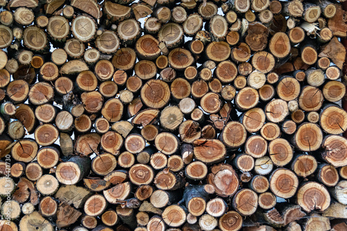 Chopped cherry tree logs stacked up for drying natural background.