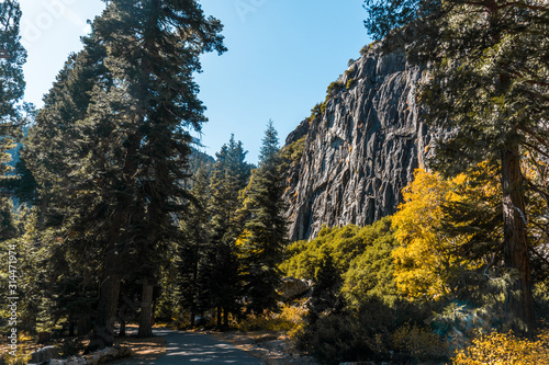 South Lake Tahoe forest near vikingsholm and cascades photo