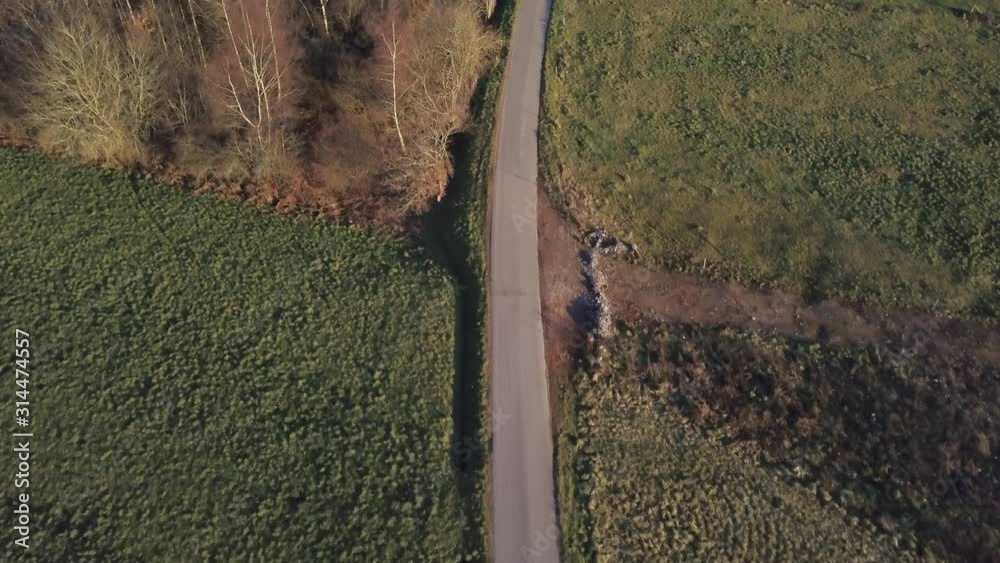 Aerial flight along countryside road path on a sunny automnal day - Vosges, France