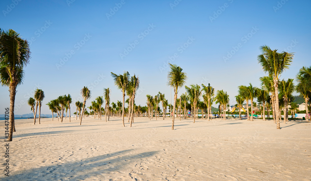 View of  Vietnamese beach and palm trees