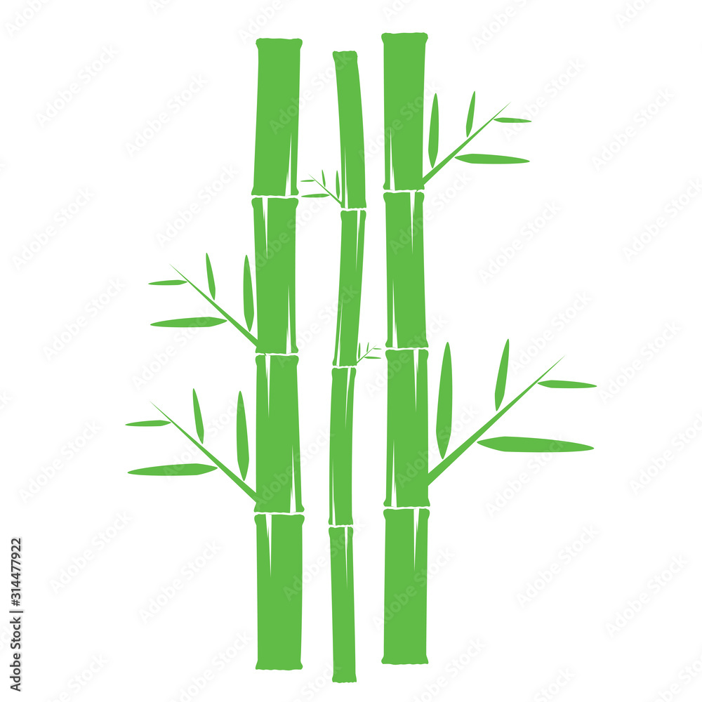 Fototapeta premium Template design logo bamboo Vector illustration of icon