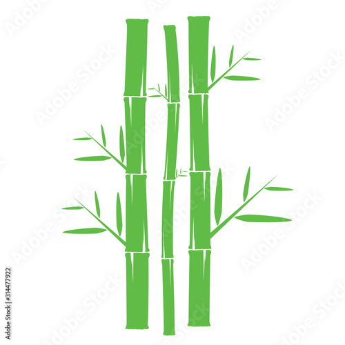 Template design logo bamboo Vector illustration of icon