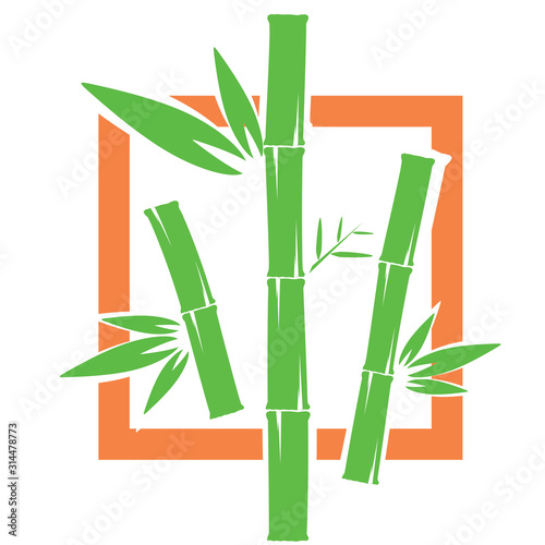 Template design logo bamboo Vector illustration of icon