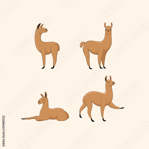 Cartoon lama sketch line icon. Kawaii animals icons set. Childish print for nursery  kids apparel  poster  postcard  pattern.