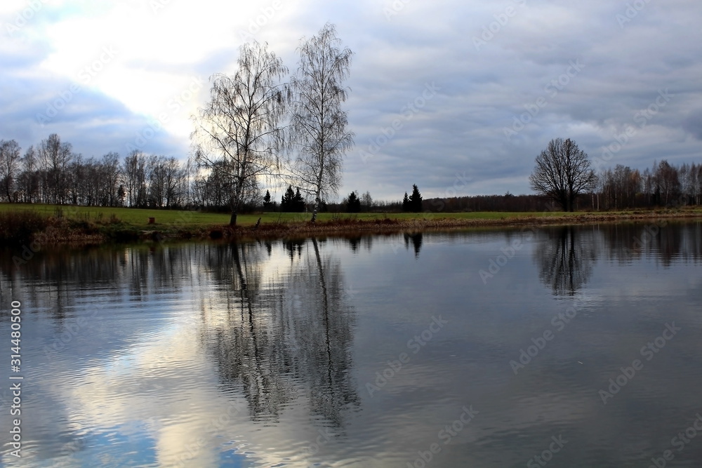 Trees and shrubs on the shore of a pond. Autumn evening