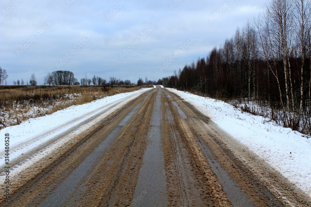 An automobile road passing between trees and bushes on a cloudy winter evening. Unique image of the surrounding nature An automobile road passing between trees and bushes on a cloudy winter evening. Unique image of the surrounding nature